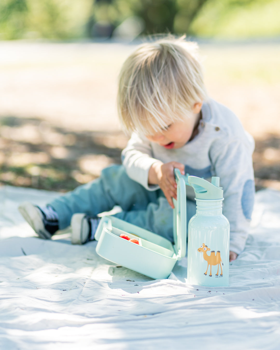 BentoBOX™ - Brotdose für Kinder mit 3 Fächern, 3 Motive