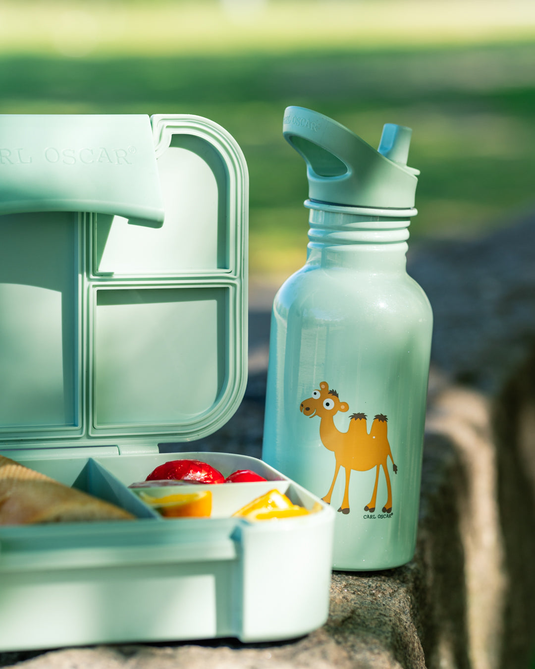 BentoBOX™ - Brotdose für Kinder mit 3 Fächern, 3 Motive