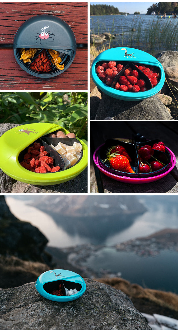 MiniDISC™– Kleiner Snackteller im Bento-Style - Grau