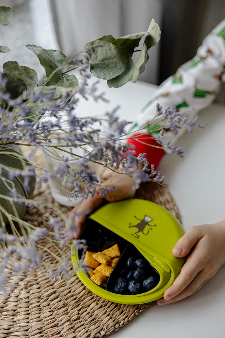 SnackDISC – Das Bento-Snack-Karussell für kleine Entdecker - Limette