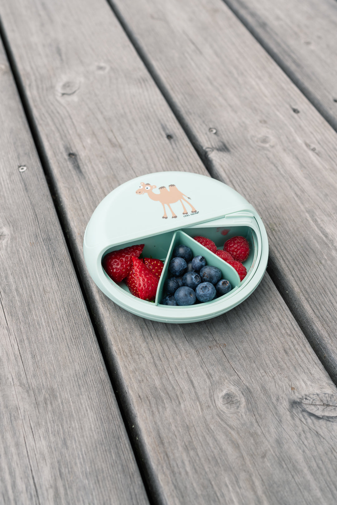 MiniDISC™– Kleiner Snackteller im Bento-Style - Delfin