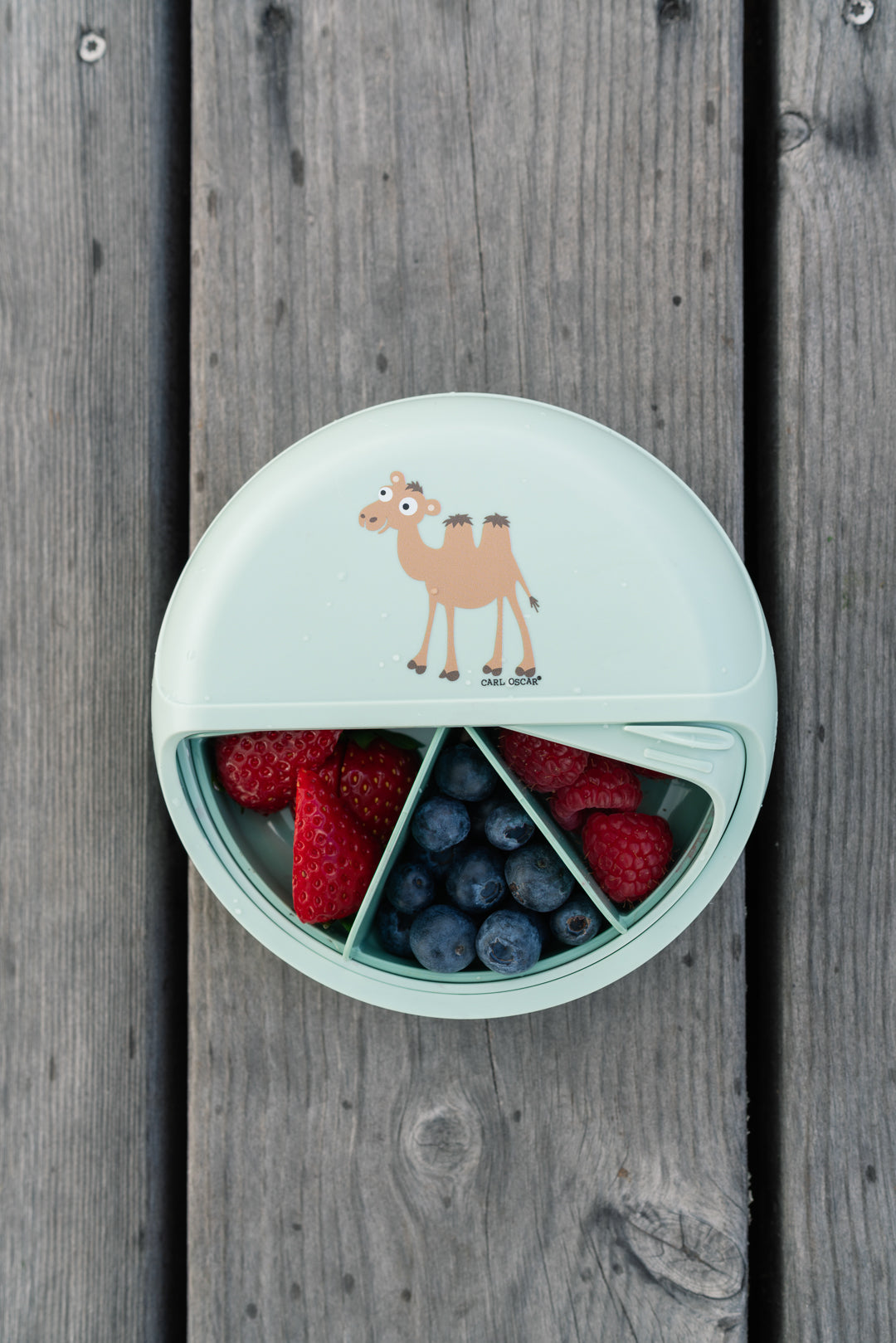 SnackDISC™ Bento-Snack-Karussell - Kamel