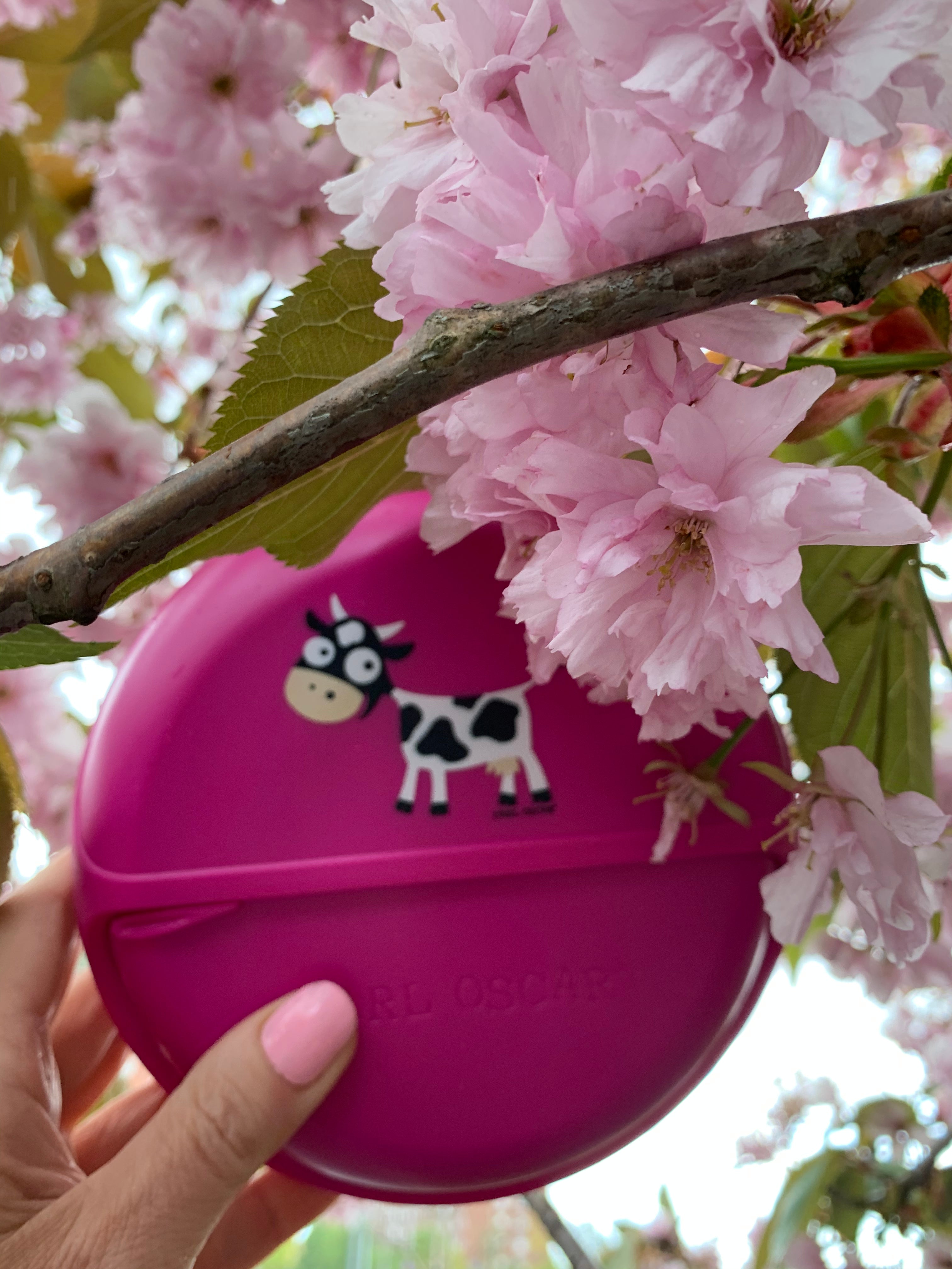 MiniDISC™– Kleiner Snackteller im Bento-Style - Pink