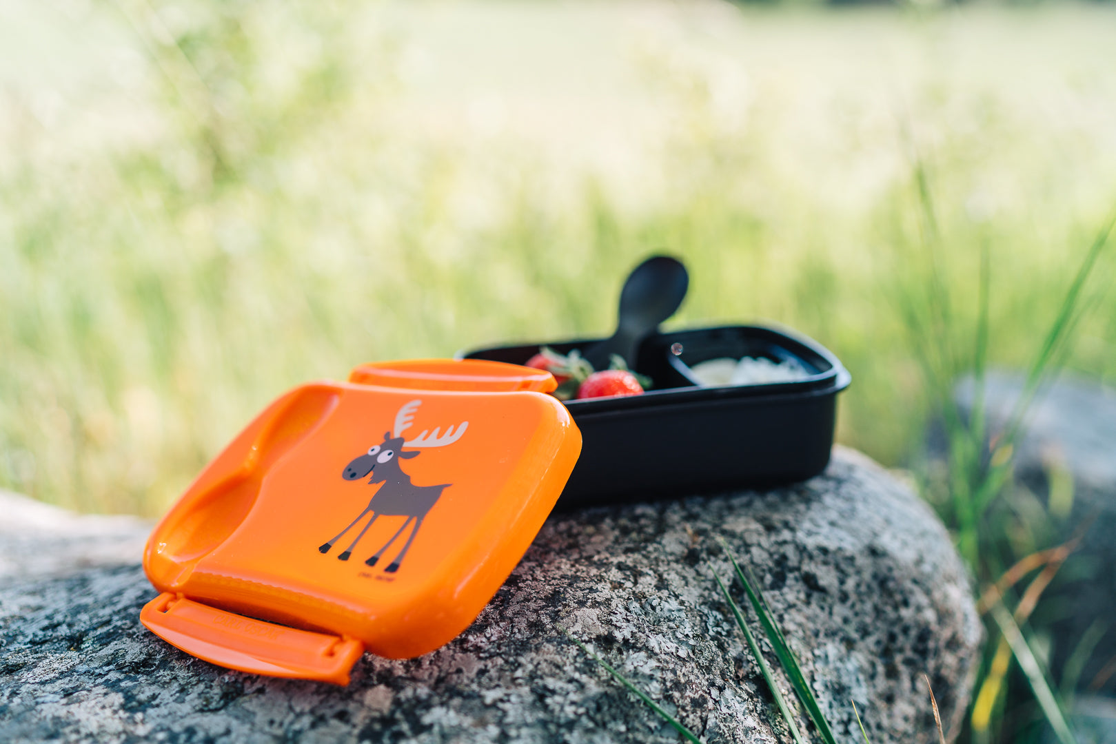 Brotdose mit Kühlakku & Besteck – Orange