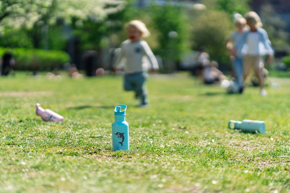 Kinder Trinkflasche aus Edelstahl, Carl Oscar, 500 ml - Delfin
