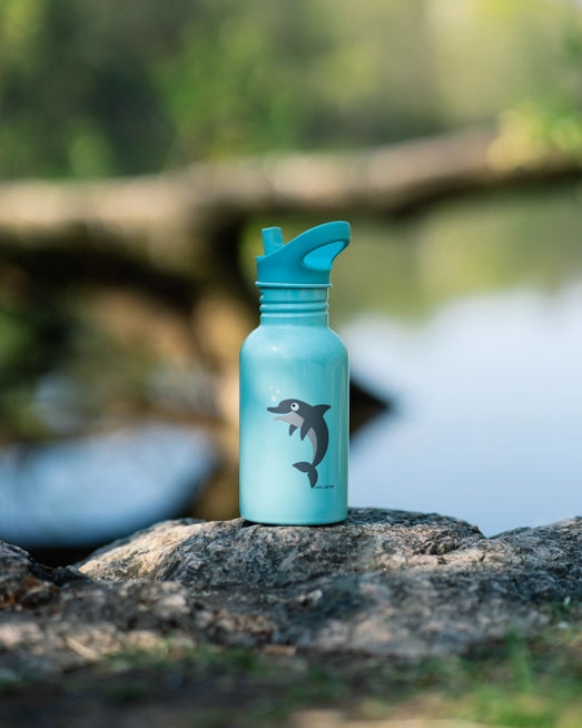 Kinder Trinkflasche aus Edelstahl, Carl Oscar, 500 ml - Delfin